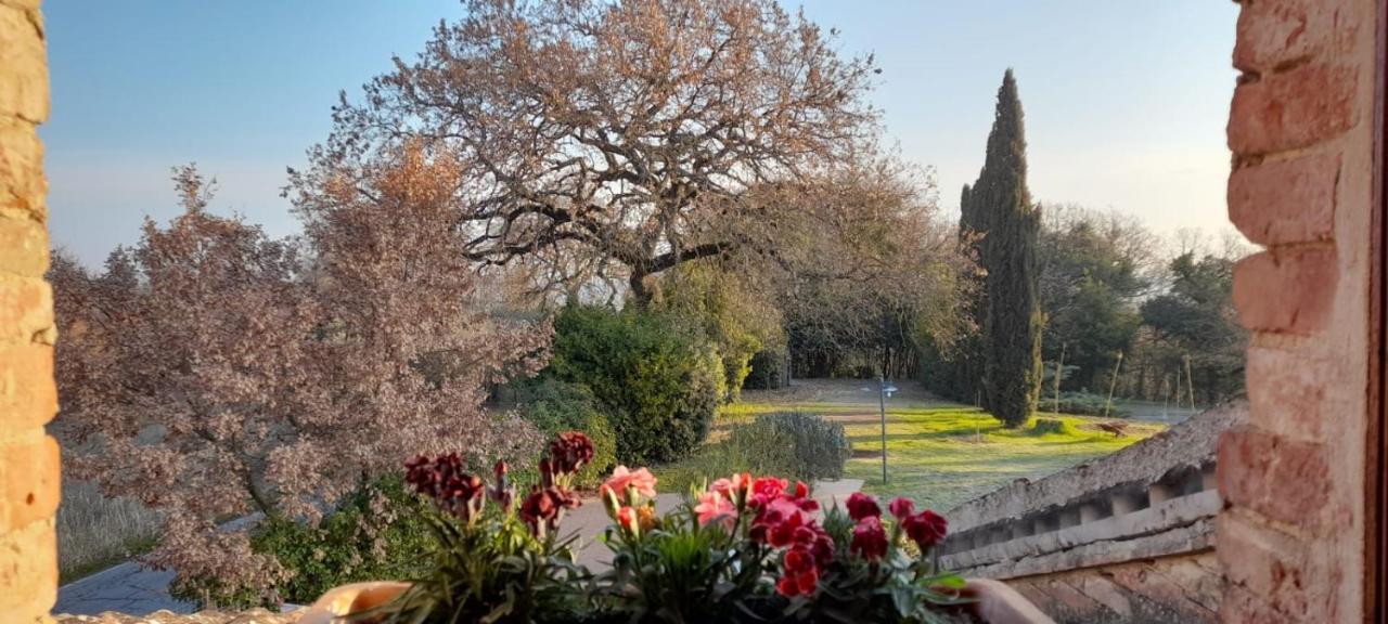 Il Casale Di Sandra Chiusi Buitenkant foto