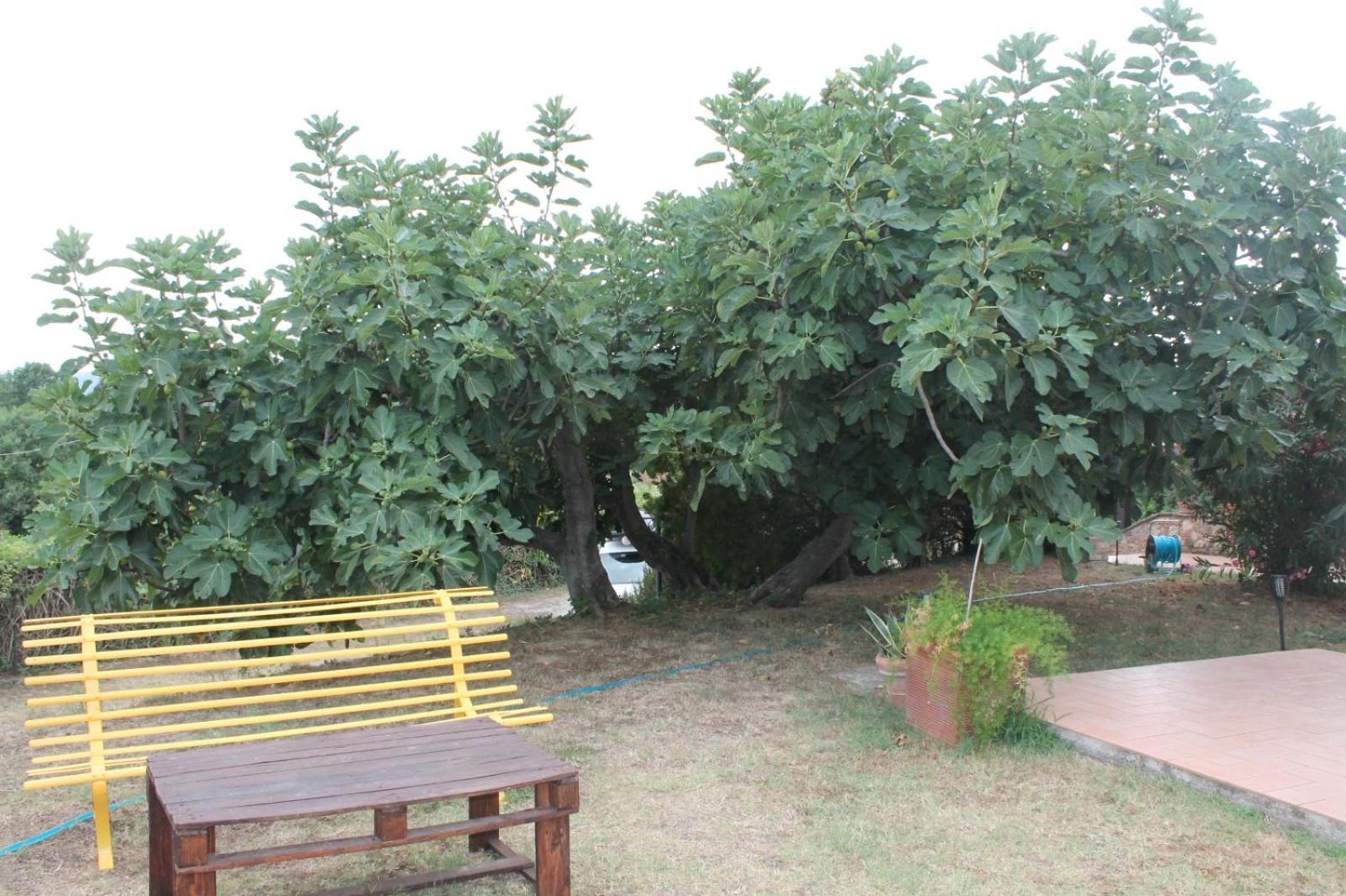 Il Casale Di Sandra Chiusi Buitenkant foto