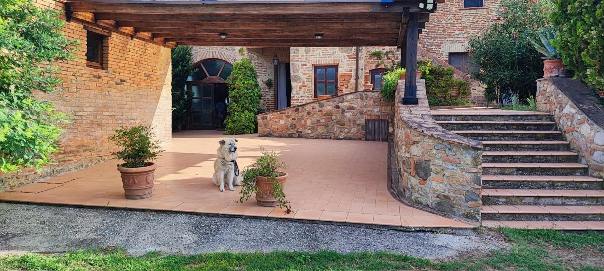 Il Casale Di Sandra Chiusi Buitenkant foto